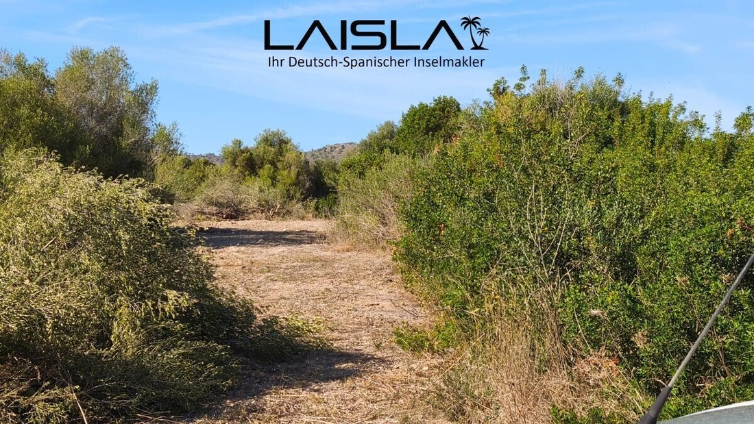 Land in Sant Llorenç des Cardassar, Balearische Inseln, Spanien 2 - 19190674