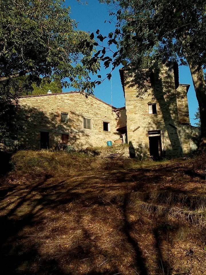 Wohnung in Vicchio, Toskana, Italien 4 - 19193654