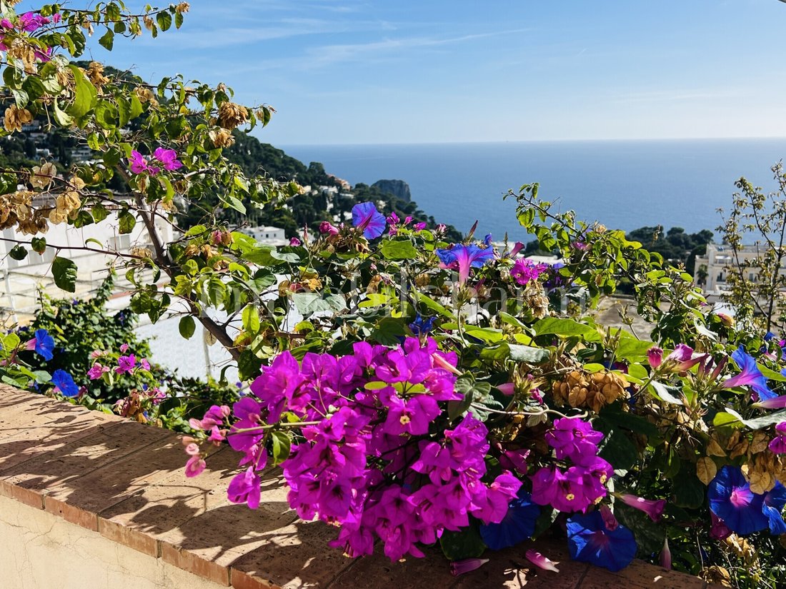 Villa in Capri, Campania, Italy 3 - 19190301