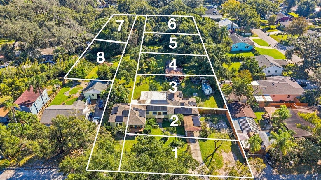 Haus in Tampa, Florida, Vereinigte Staaten 2 - 19192906