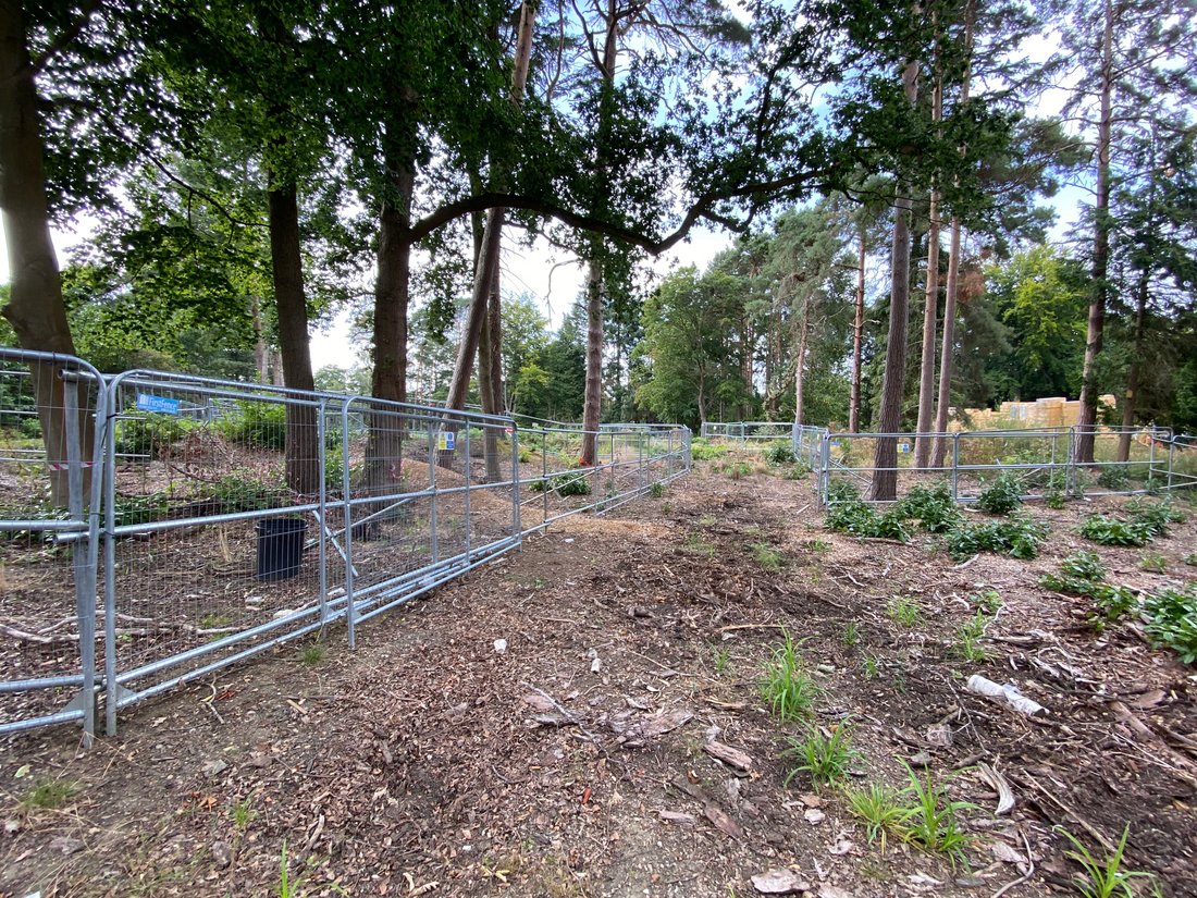 Land in Brooklands, Elmbridge, England 3 - 19191228