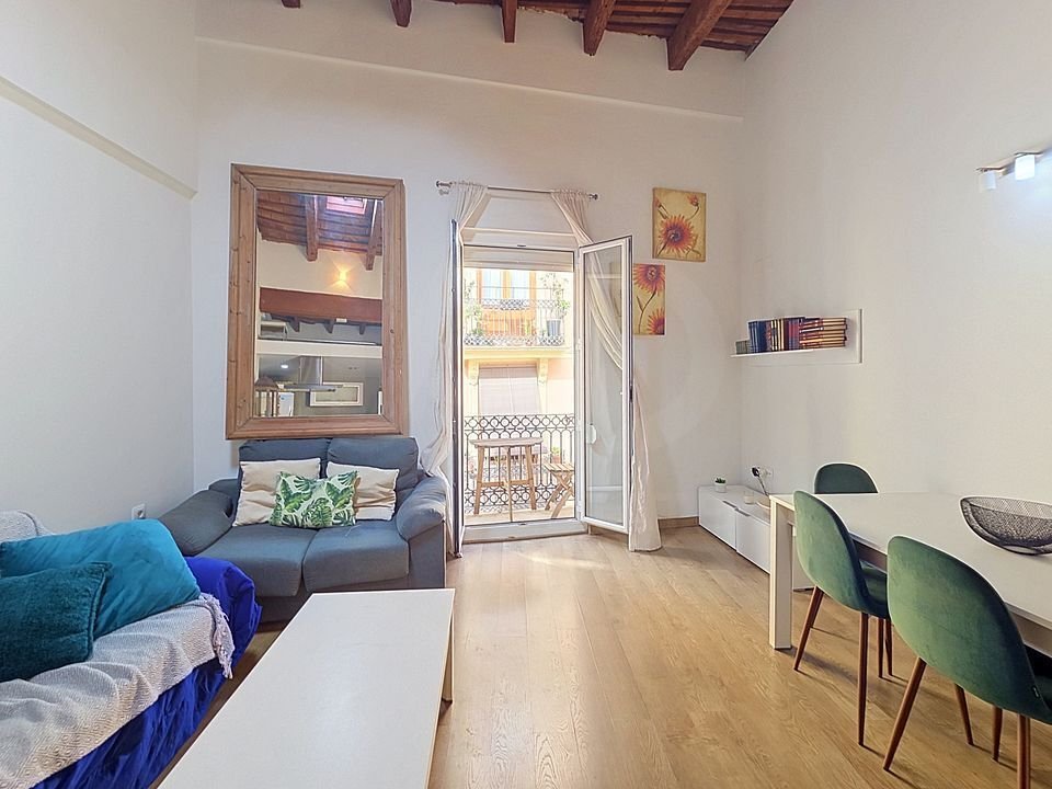 Apartment in Ciutat Vella, Valencia, Spain 4 - 19193996