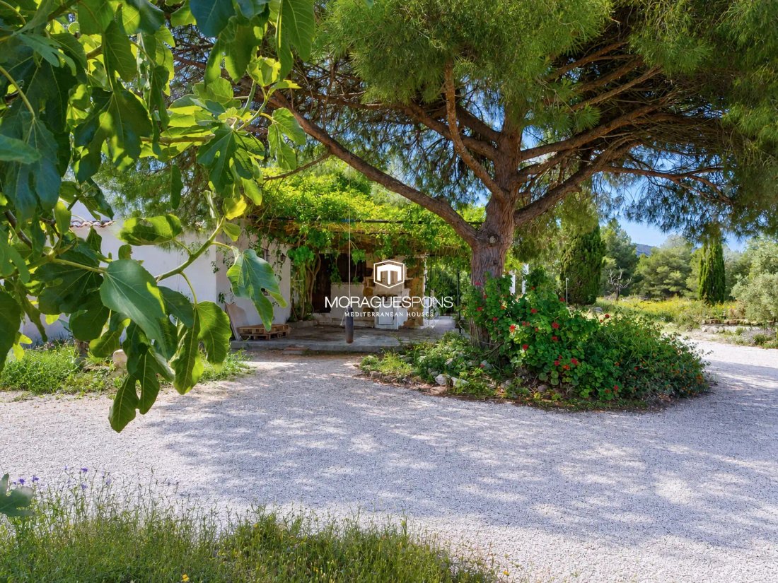 Finca a Jávea, Comunità Valenzana, Spagna 3 - 19191257