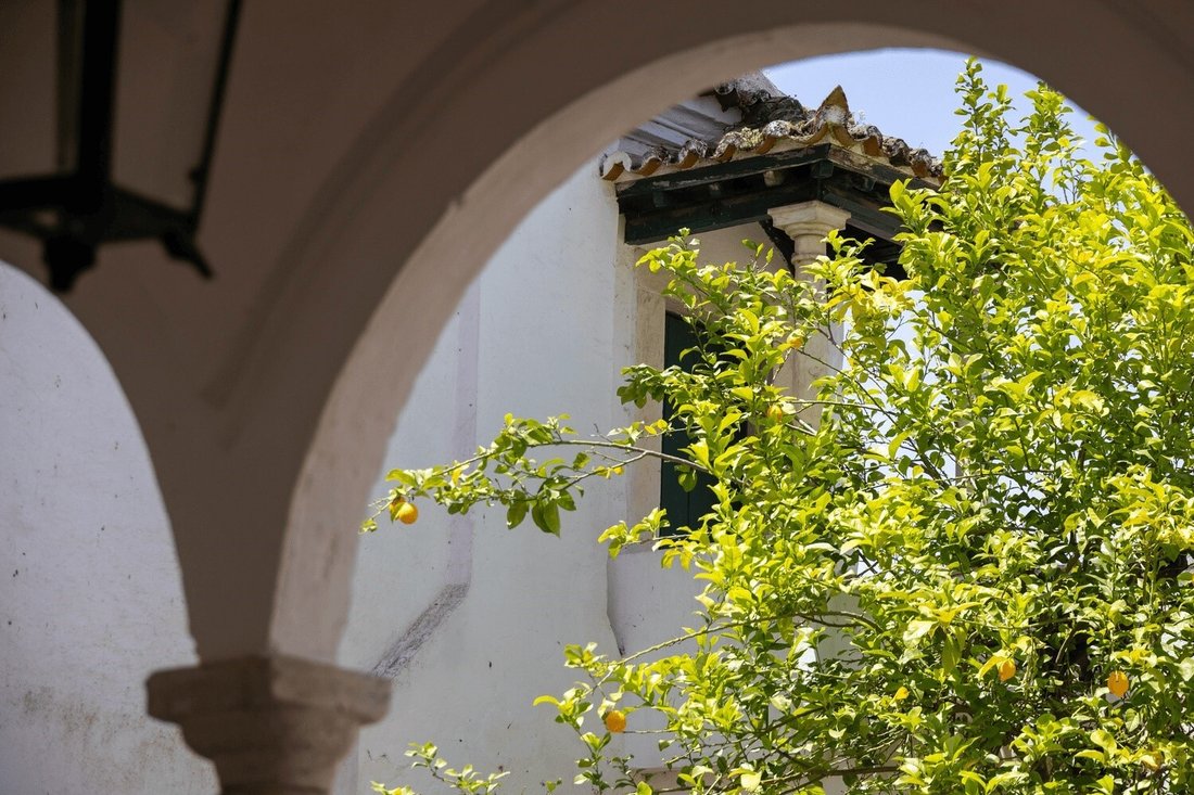 Chateau in Borba (Matriz), Évora District, Portugal 4 - 19194065