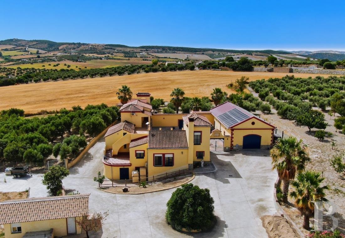 Maison à Arcos de la Frontera, Andalousie, Espagne 2 - 19193866
