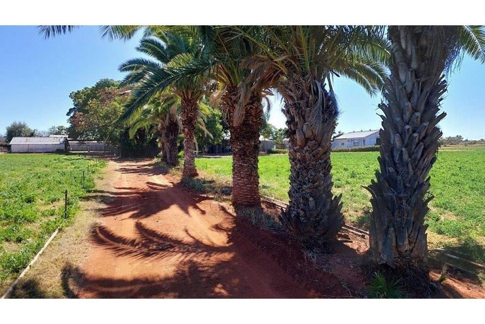 Farm Ranch in Bela-Bela, Limpopo, Südafrika 2 - 19194150