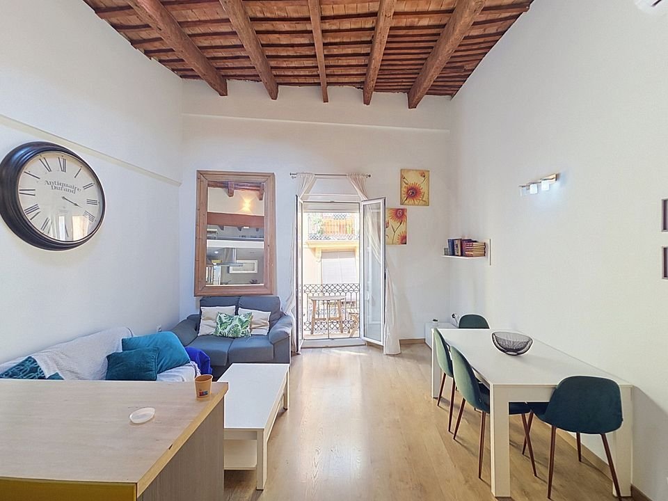 Apartment in Ciutat Vella, Valencia, Spain 1 - 19193996