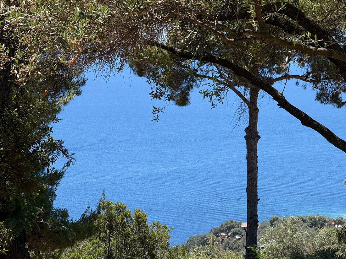Casa a Cargèse, Corsica, Francia 2 - 19191348