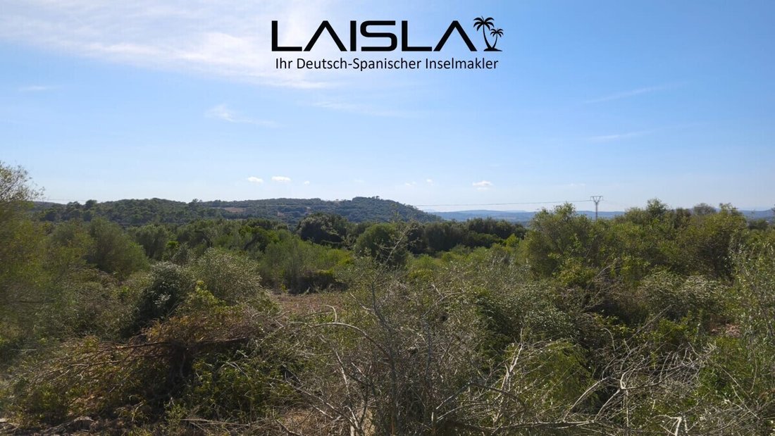 Land in Sant Llorenç des Cardassar, Balearische Inseln, Spanien 5 - 19190674