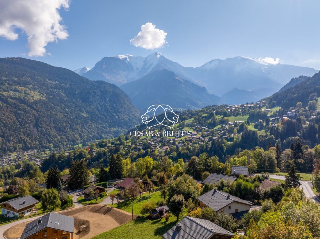 Land in Saint-Gervais-les-Bains, Auvergne-Rhone-Alpen, Frankreich 1 - 19195432