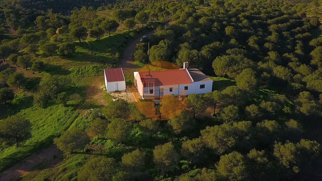 Casa en Sao Miguel do Rio Torto e Rossio ao Sul do Tejo, Distrito de Santarém, Portugal 3 - 19195332