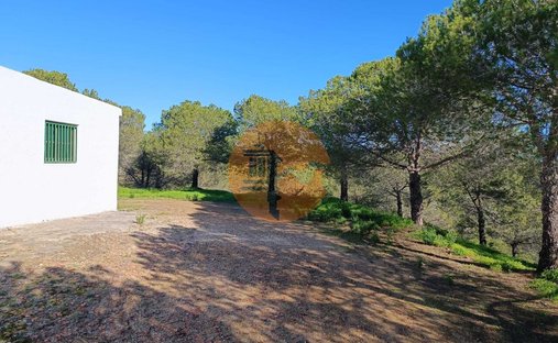 Casa en Sao Miguel do Rio Torto e Rossio ao Sul do Tejo, Distrito de Santarém, Portugal 1
