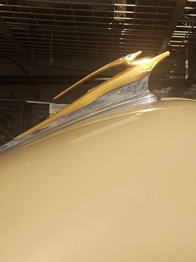 Coupe in Glendale, United States 4 - 19196029