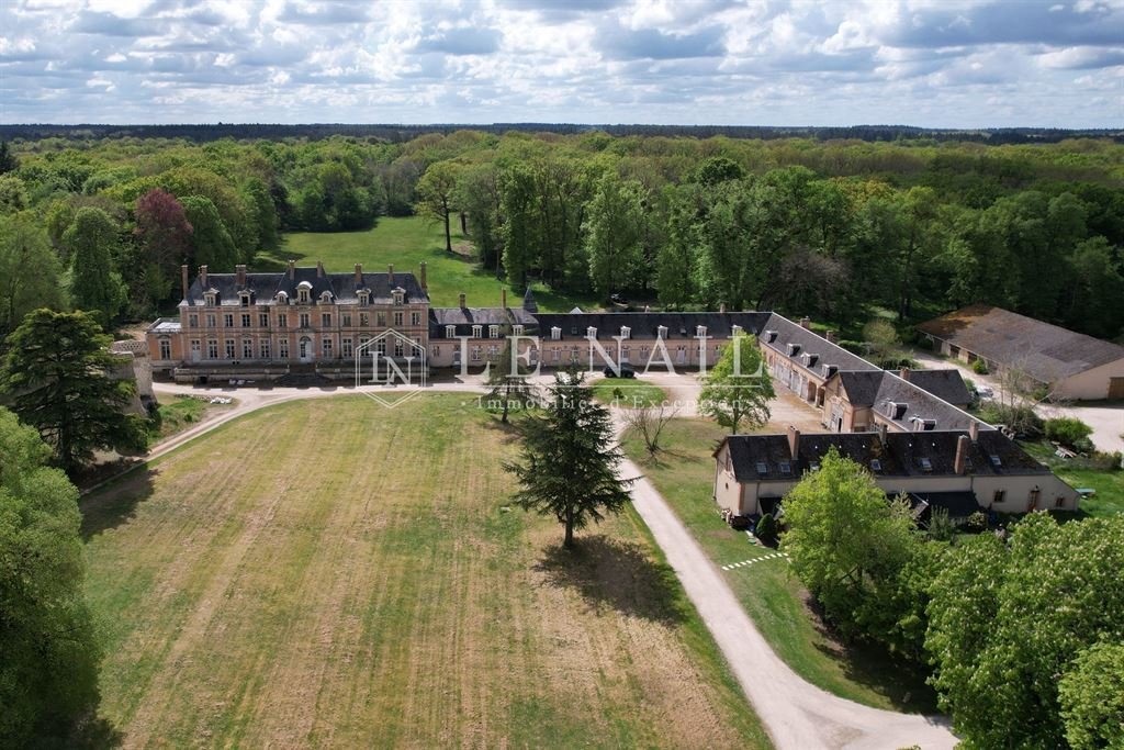 Castello a Orleans, Centro-Val della Loira, Francia 1 - 19196405
