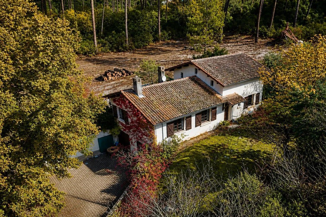 Casa a Centro Cap Ferret, Lège-Cap-Ferret, Francia 4 - 19196941