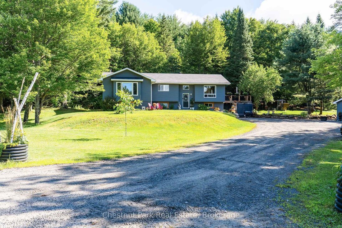 House in Huntsville, Ontario, Canada 5 - 19196623