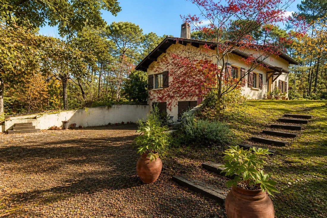 Casa a Centro Cap Ferret, Lège-Cap-Ferret, Francia 1 - 19196941