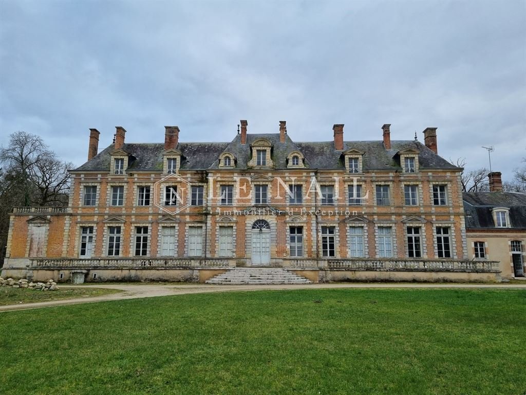 Castello a Orleans, Centro-Val della Loira, Francia 2 - 19196405