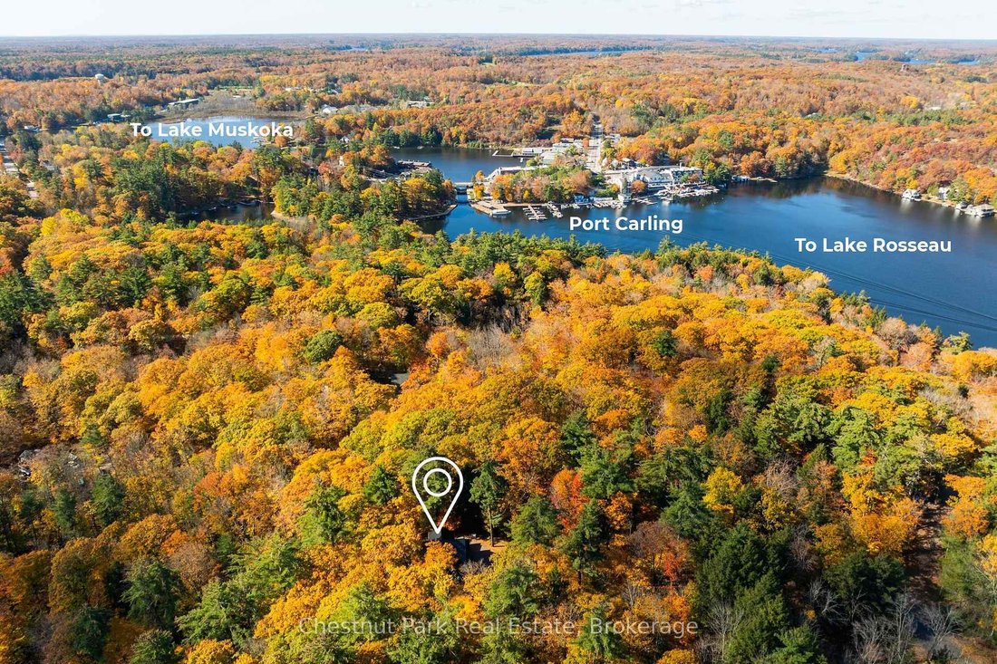Haus in Muskoka Lakes, Ontario, Kanada 3 - 19196514