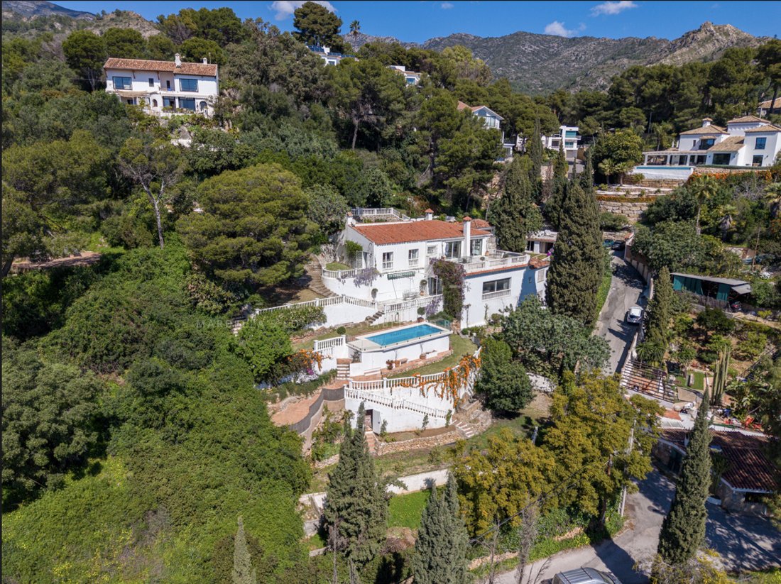 Villa in Marbella, Andalusia, Spain 2 - 19196396
