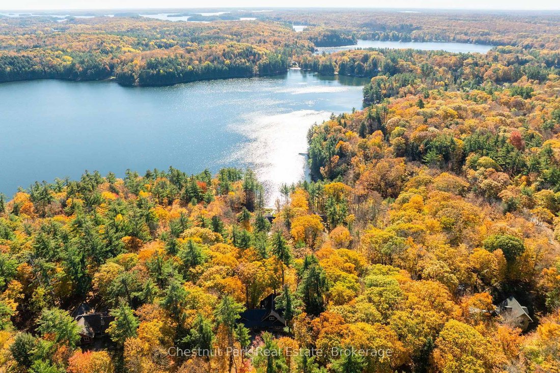 Haus in Muskoka Lakes, Ontario, Kanada 1 - 19196514