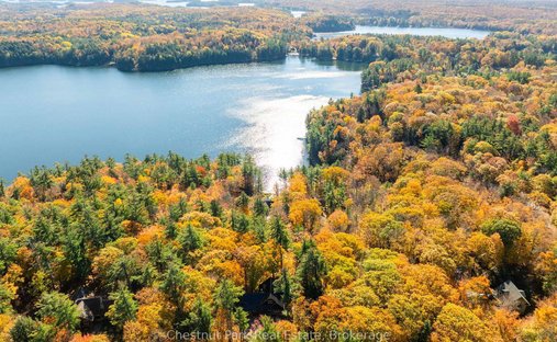 Haus in Muskoka Lakes, Ontario, Kanada 1