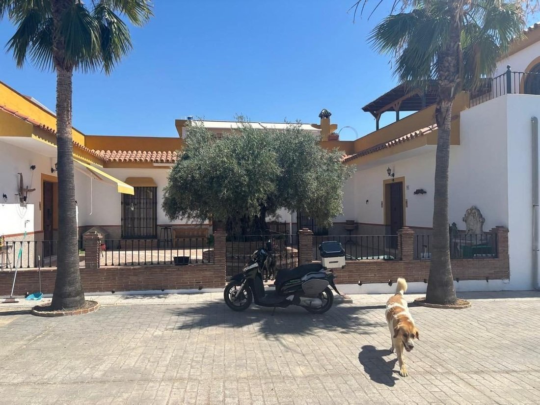 Maison à Malaga, Andalousie, Espagne 2 - 19197224