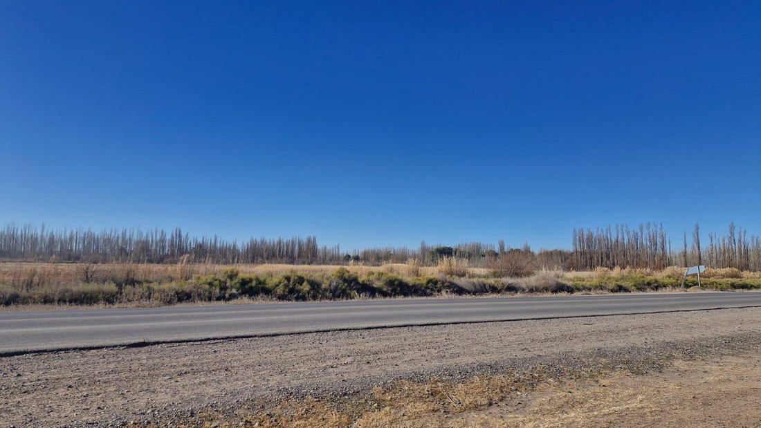 Terrain à Vista Alegre Norte, Neuquén, Argentine 3 - 19197252