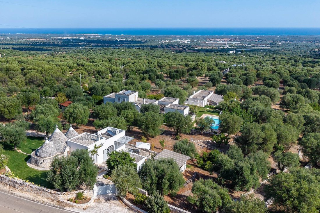 Haus in Pezze di Greco-Pozzo Faceto-Montalbano, Fasano, Apulien 1 - 19197375