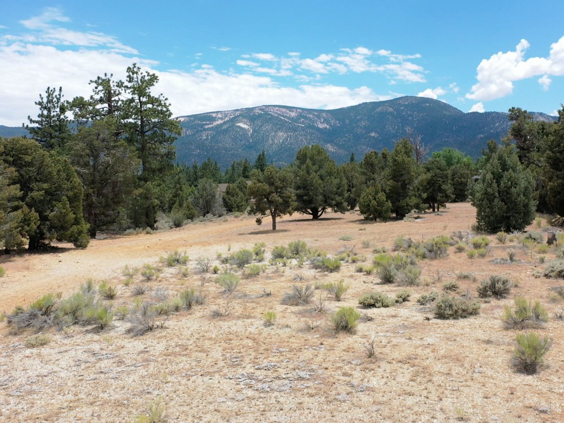 Terreno a Big Bear Lake, California, Stati Uniti 2 - 19197294