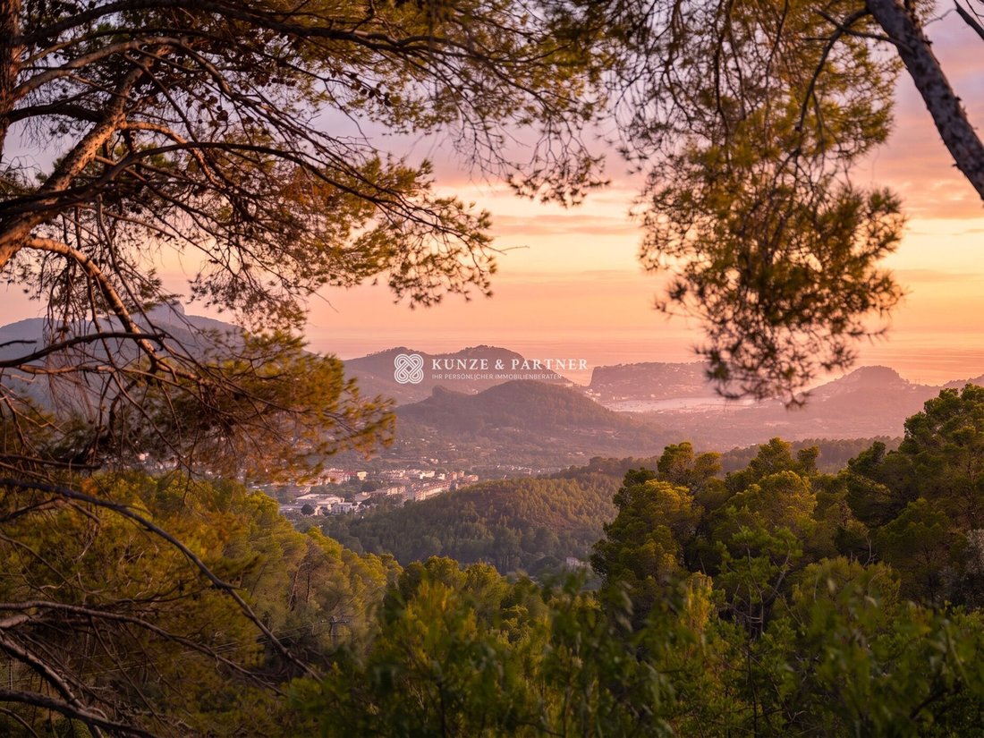 Finca in Andratx, Balearic Islands, Spain 2 - 19198426