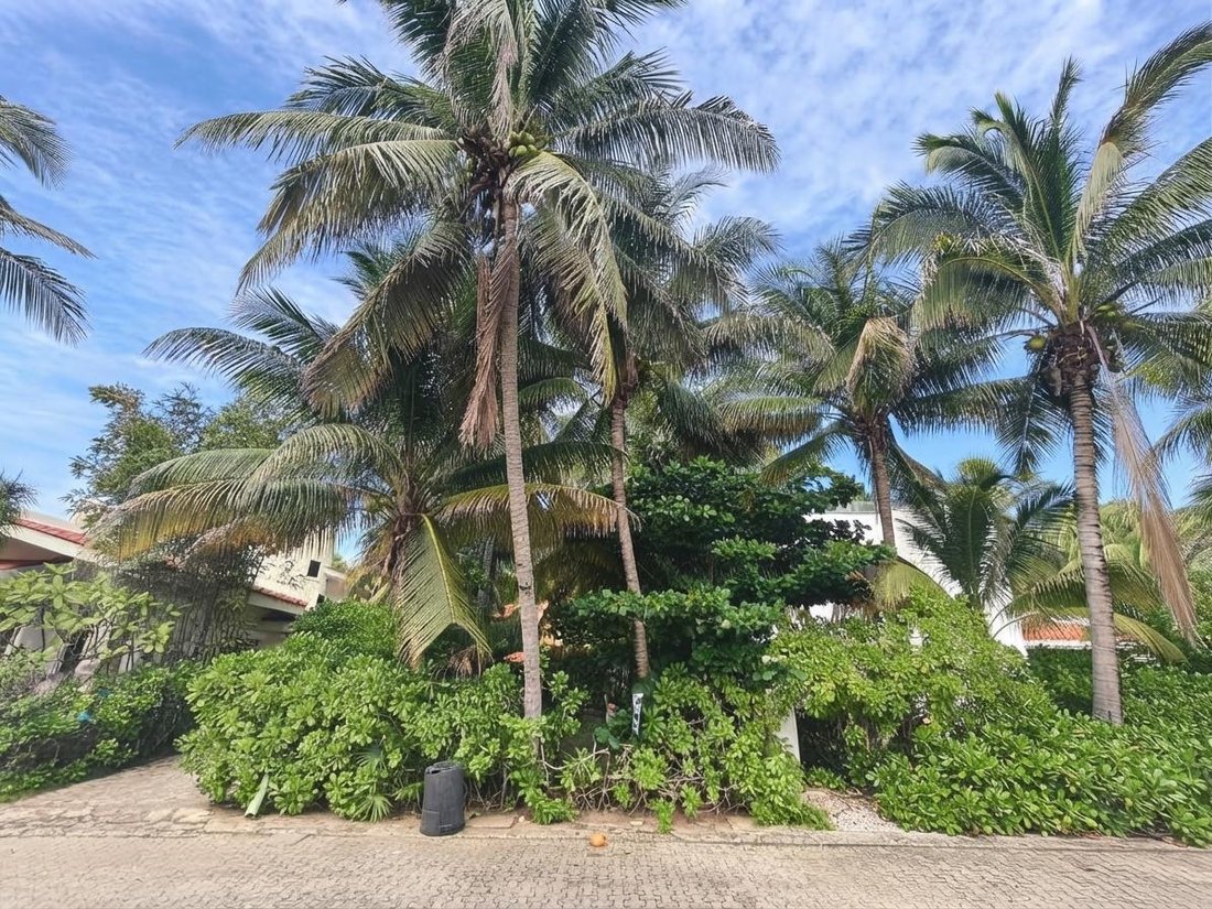Terreno en Playa del Carmen, Quintana Roo, México 2 - 19198776