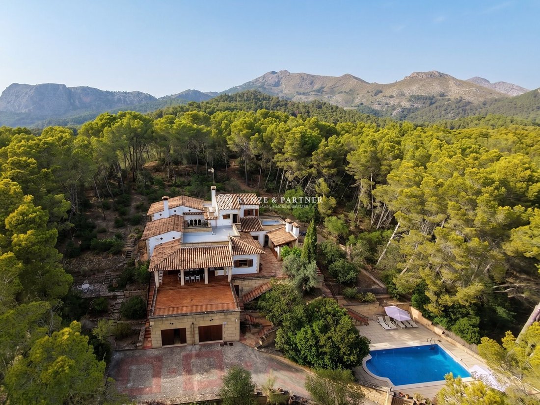 Finca in Andratx, Balearic Islands, Spain 4 - 19198426
