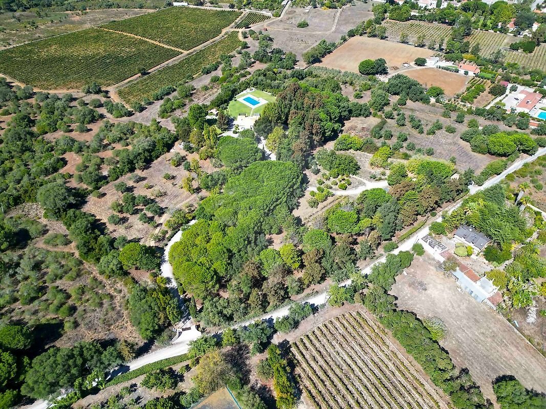 Casa en Azeitao (Sao Lourenco y Sao Simao), Setúbal Municipality, Portugal 3 - 19199019