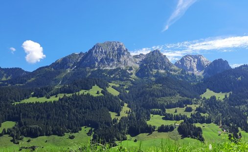 House in Rougemont, Vaud, Switzerland 1