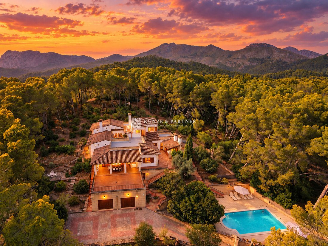 Finca in Andratx, Balearic Islands, Spain 3 - 19198426