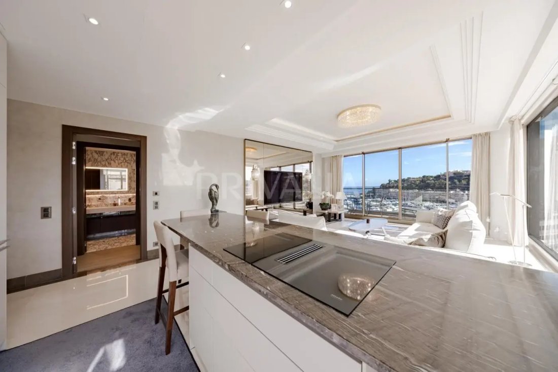 Apartment in Monaco, Monaco 1 - 19198617