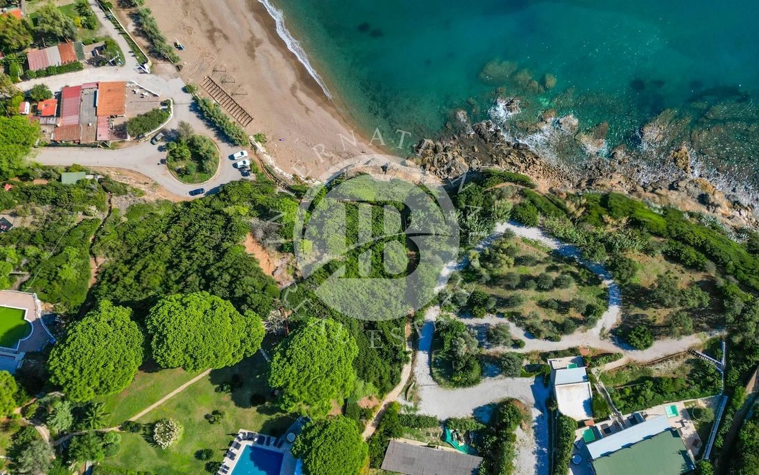 Estate in Porto Azzurro, Tuscany, Italy 5 - 19199526