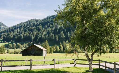Chalet in Gsteig bei Gstaad, Canton of Bern, Switzerland 1
