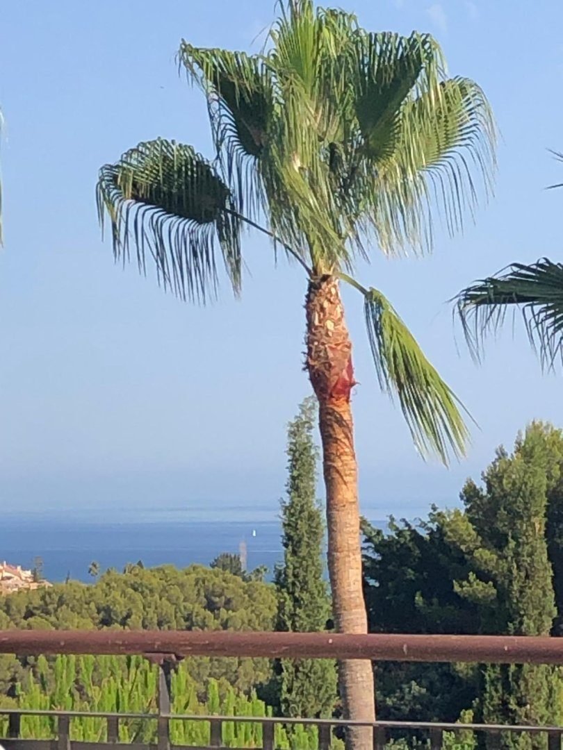 Wohnung in Sierra Blanca, Marbella, Spanien 2 - 19198570