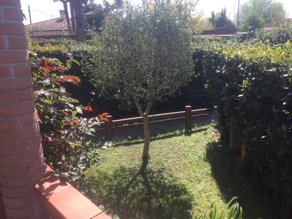Casa di campagna a Tonfano, Pietrasanta, Italia 3 - 19201134