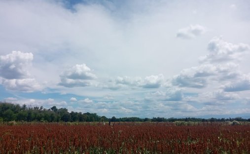 Land in Santa María Pesquería, Nuevo Leon, Mexico 1