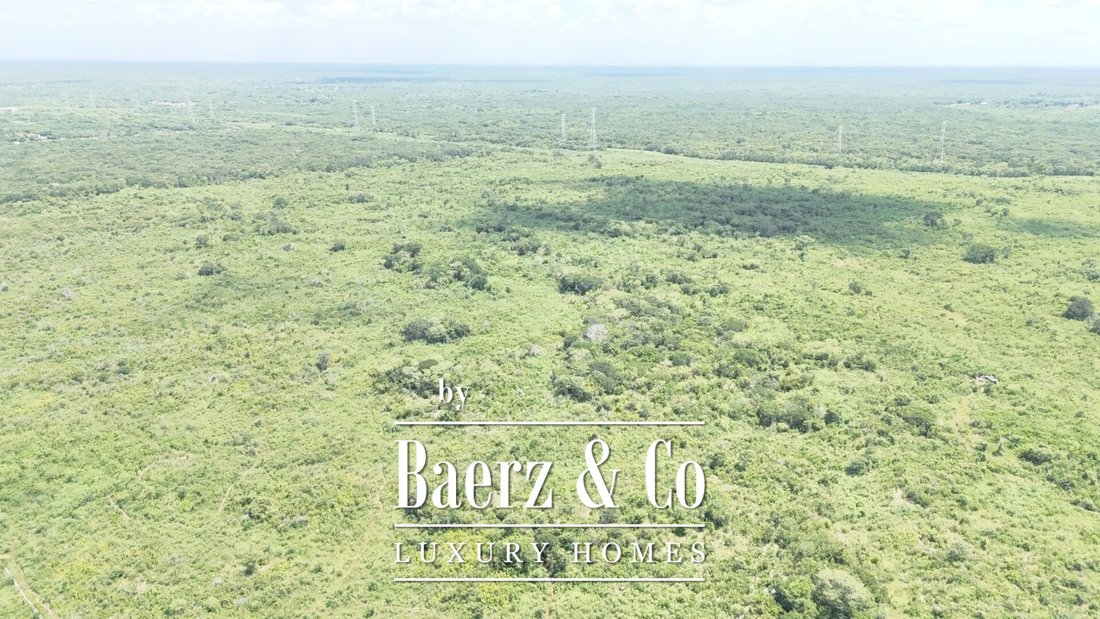 Land in Kanasín, Yucatan, Mexico 2 - 19201569