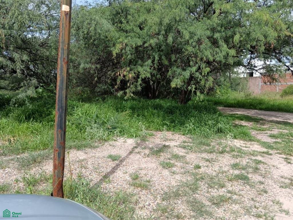 Land in Aguascalientes, Aguascalientes, Mexico 4 - 19201245
