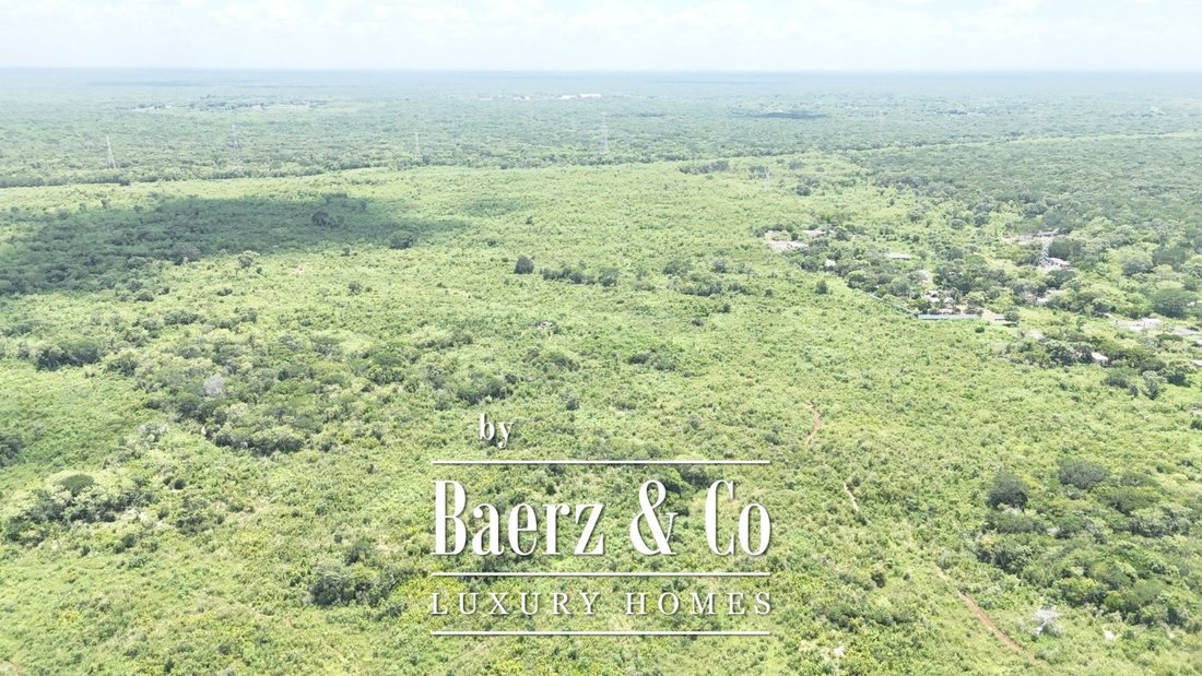 Land in Kanasín, Yucatan, Mexico 4 - 19201569