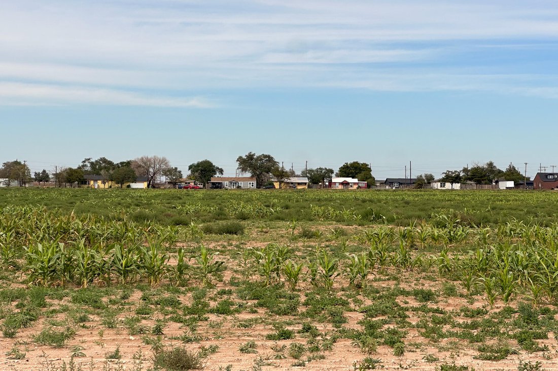 Terreno a Lubbock, Texas, Stati Uniti 2 - 19200013