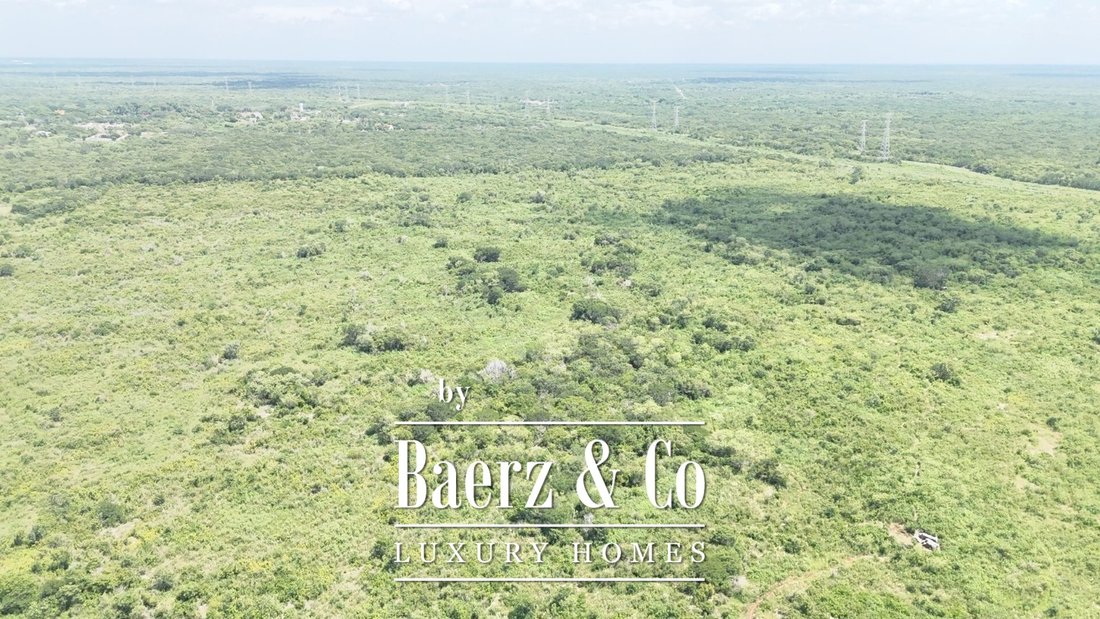 Land in Kanasín, Yucatan, Mexico 5 - 19201569