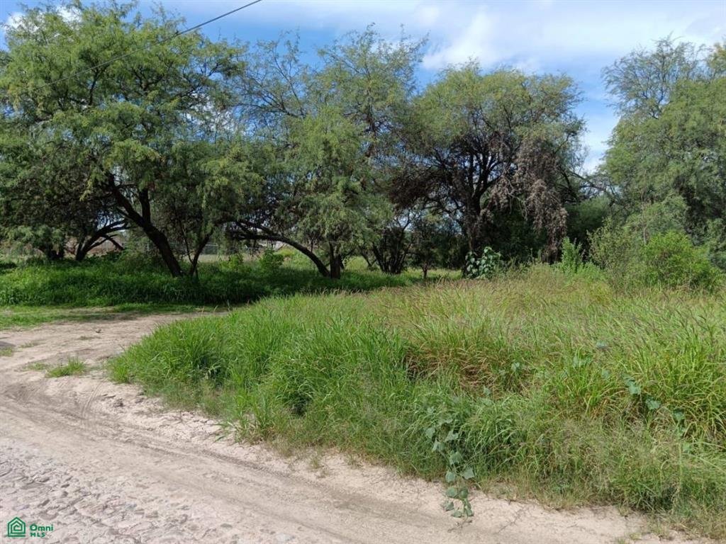 Land in Aguascalientes, Aguascalientes, Mexico 5 - 19201245