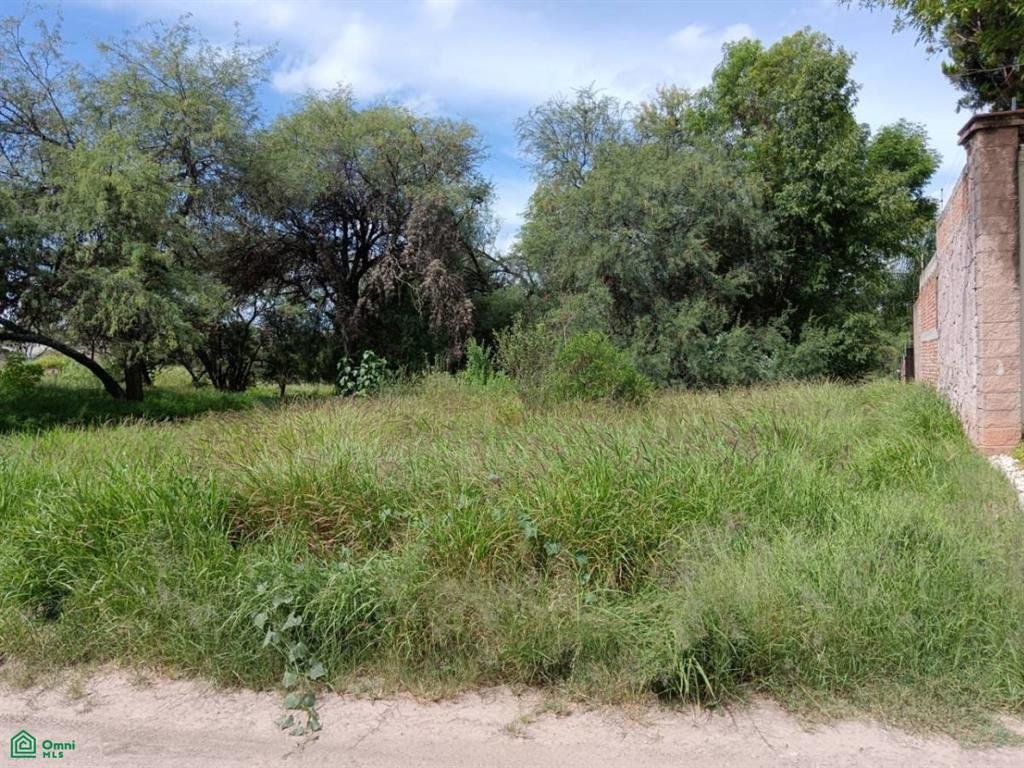 Land in Aguascalientes, Aguascalientes, Mexico 3 - 19201245