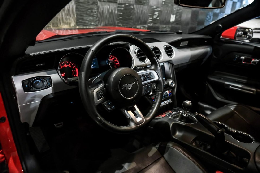 Cabriolet in Addison, TX, United States 3 - 19202629